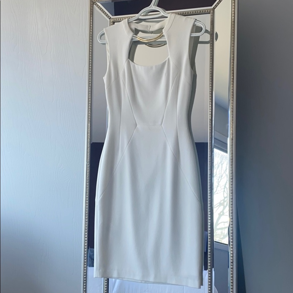 BcbgMaxAzria dress